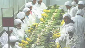 Segundo mercado laboral más competitivo es la región La Libertad 