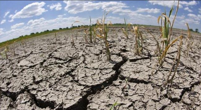 Ecofascismo y militarismo