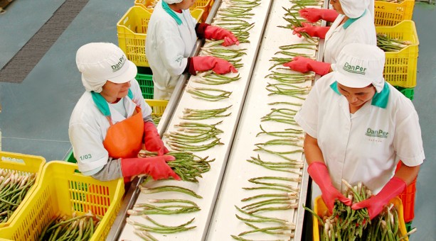 Agroexportaciones peruanas afectadas con tasa fitosanitaria en EE.UU.