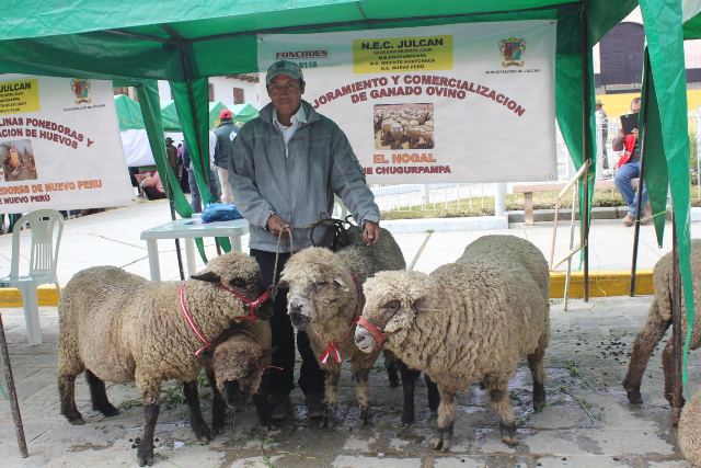 Julcán: Foncodes financiará diez proyectos emprendedores