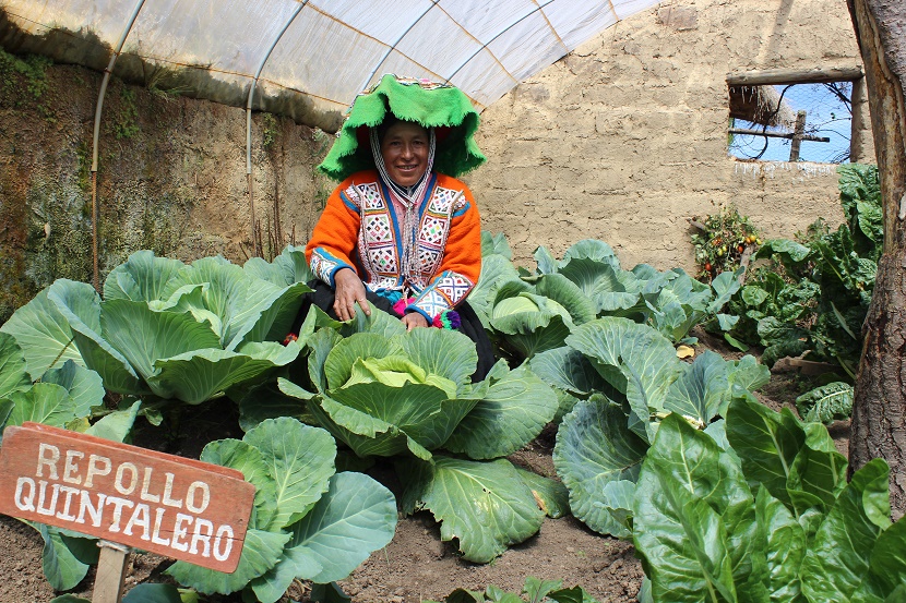 El 44% de mujeres jefas de hogares de Haku Wiñay lideran emprendimientos rurales inclusivos