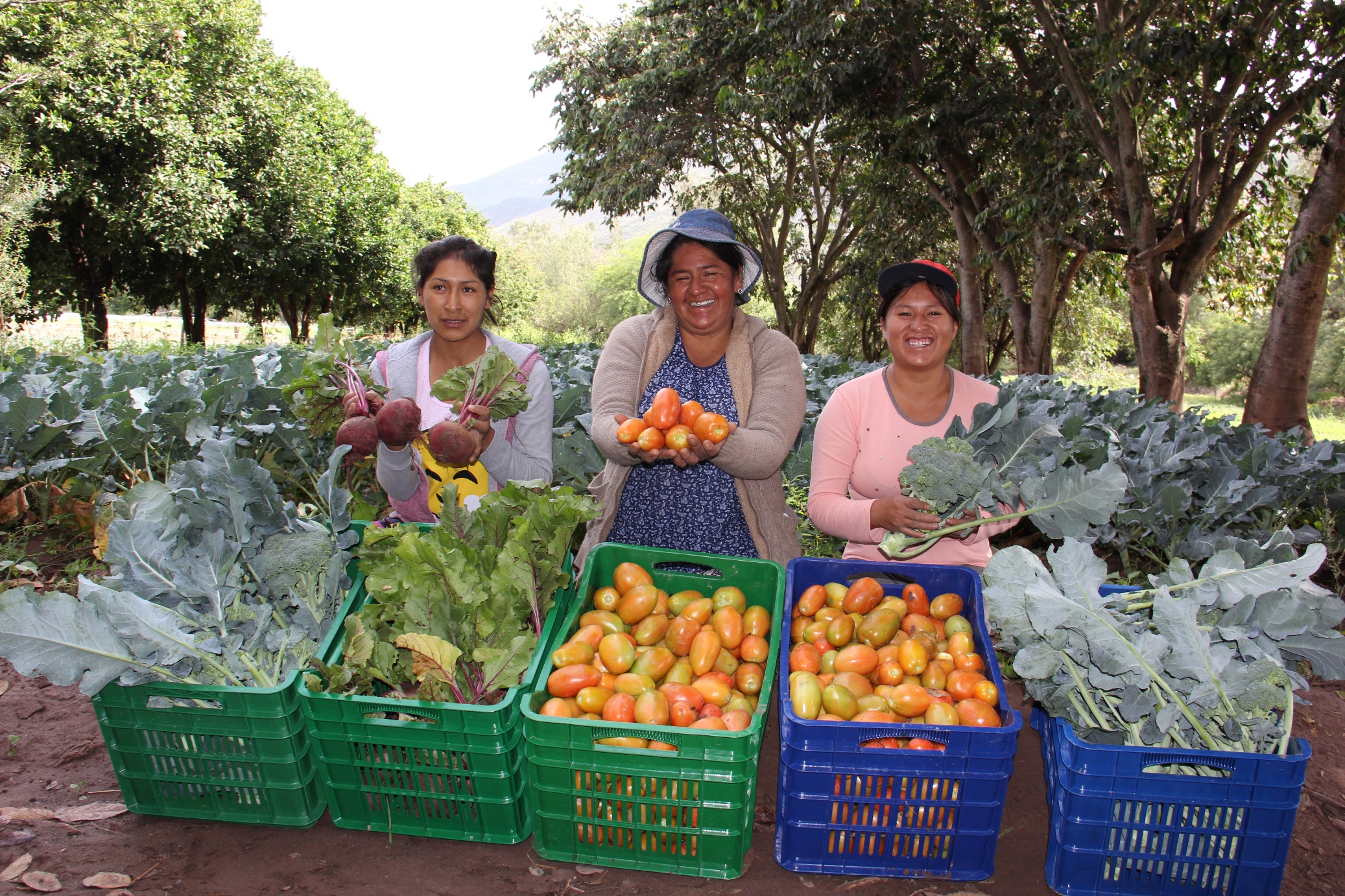 Foncodes amplió cobertura de proyectos sociales durante el año 2018