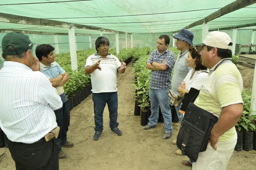 Asociación liberteña exporta banano orgánico certificado a países como Dubái