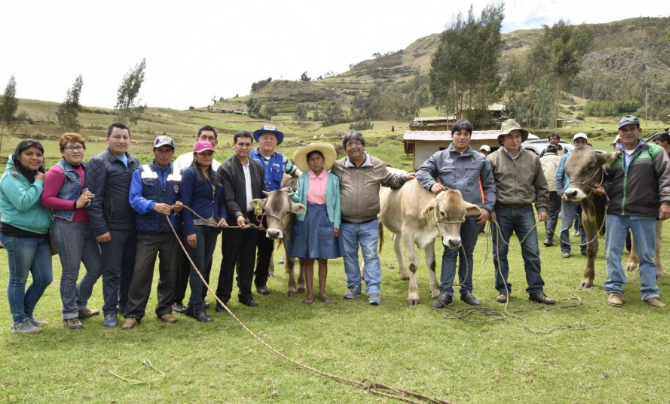 Entregan 40 cabezas de ganado vacuno a productores de Curgos y Sanagorán