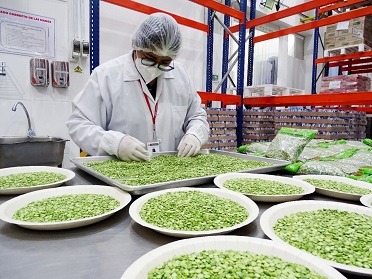 Fortalecen capacidades de equipos técnicos de todo el país para el servicio alimentario escolar 2023 