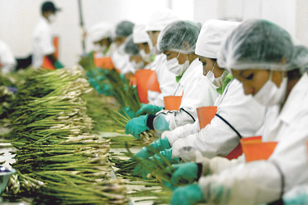 Se inica actualización del Plan Exportador en La Libertad