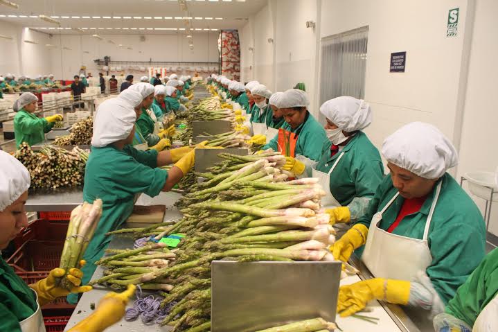 Exportación de alimentos producidos en La Libertad creció 8% a julio de este año    