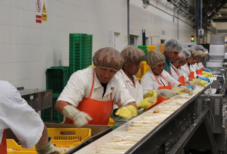 Promueven a Perú como proveedor  confiable de alimentos en España