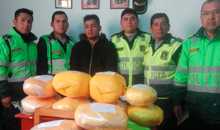 Decomisan 25 kilos de marihuana en Sánchez Carrión 
