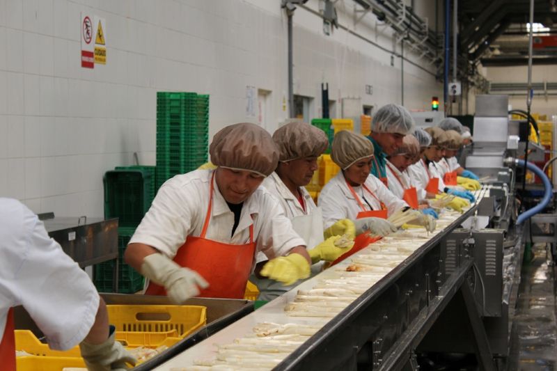 Empleos generados por las exportaciones crecieron 15.5%