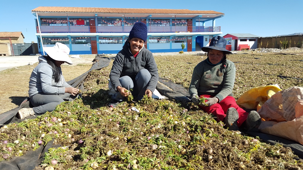 Exportación de productos naturales peruanos este año superaría los US$ 300 millones