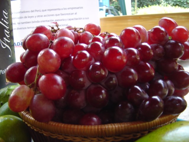 Adex: "Solo once regiones aumentaron sus despachos al exterior"