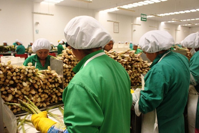  CNN incluye a DanPer en reportaje sobre logística agroindustrial 