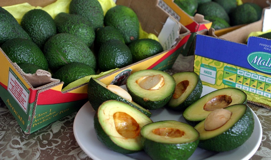 Adex: “Acuerdo comercial con Honduras beneficiará a las Pymes”