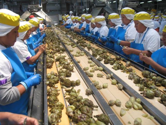 Chavimochic ha generado exportaciones sobre los 4 mil millones de soles