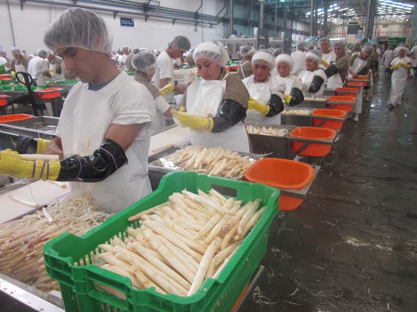 Informan que en el 2016 incrementaron exportaciones desde Chavimochic  