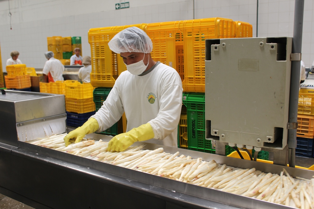 Sector manufactura creció 3.7% en marzo del 2019