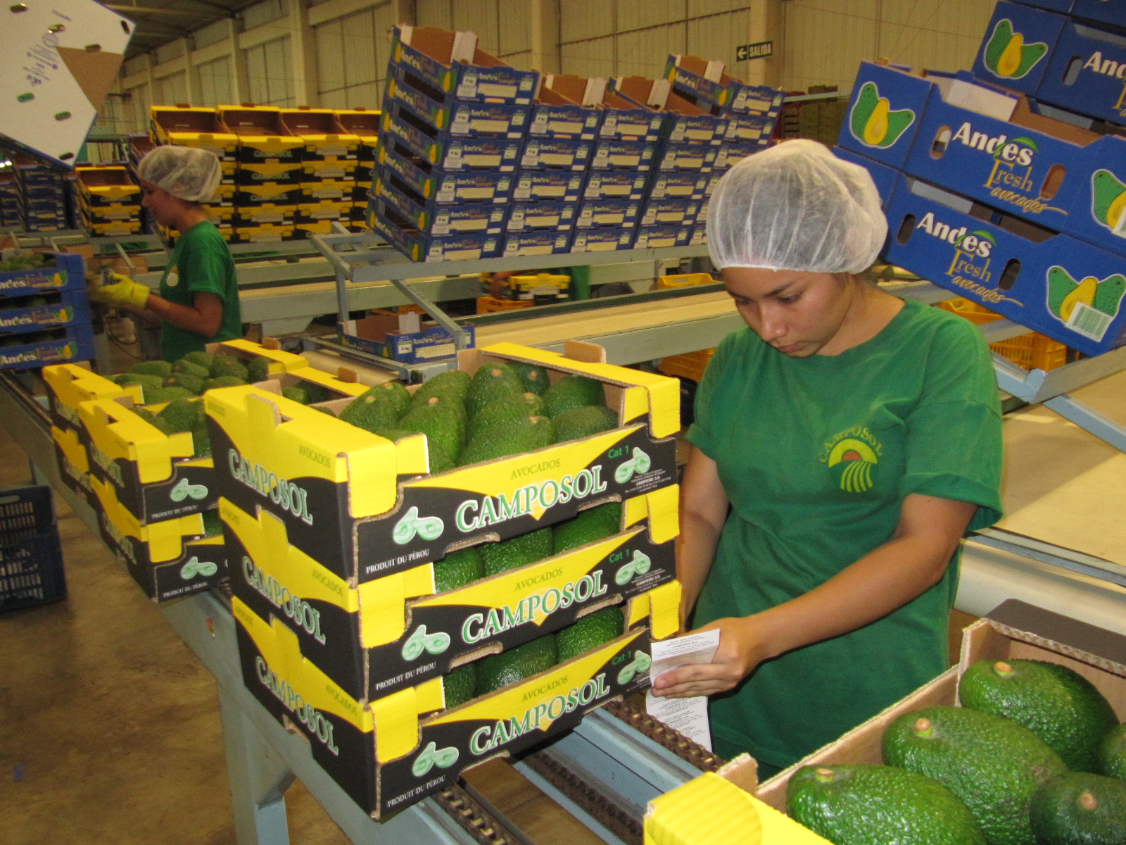 La Libertad se consolida como región agroexportadora  