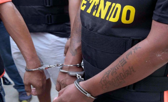 Congreso: iniciativa plantea expulsión de extranjeros detenidos en flagrancia     