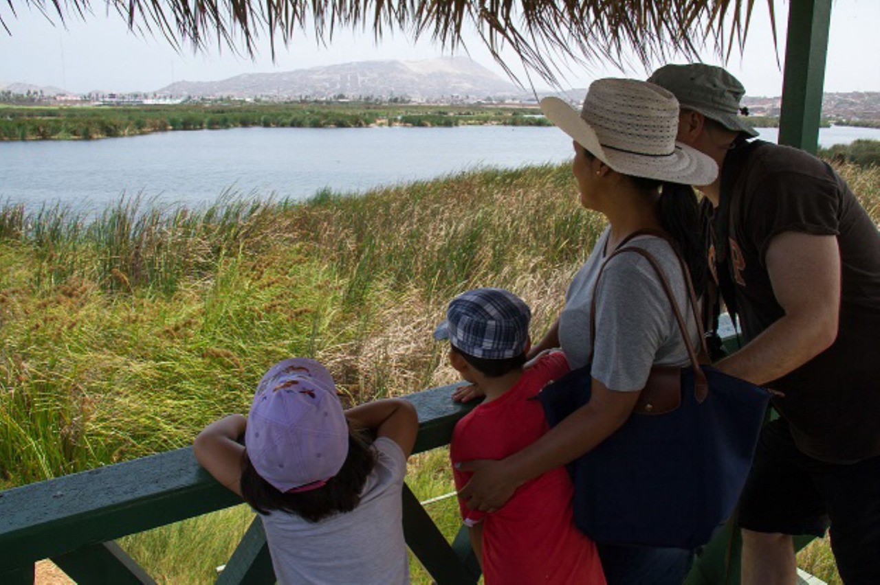 Feriado largo: días 24, 27, 31 de diciembre y 3 de enero serán no laborables