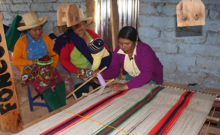 Más familias de la sierra y selva aprenden a ser autónomas productiva y financieramente con “Haku Wiñay”