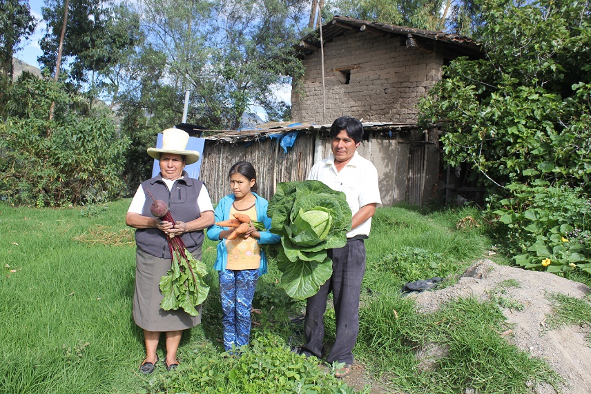 Más de 200 mil familias de zonas rurales experimentan cambio en su economía con Haku Wiñay