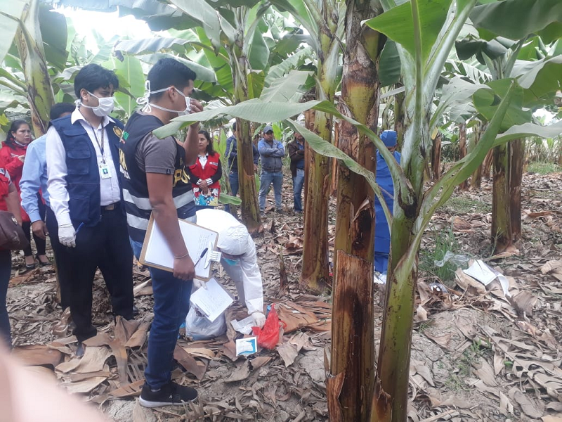 Chepén: exhuman restos de mujer asesinada a pedradas