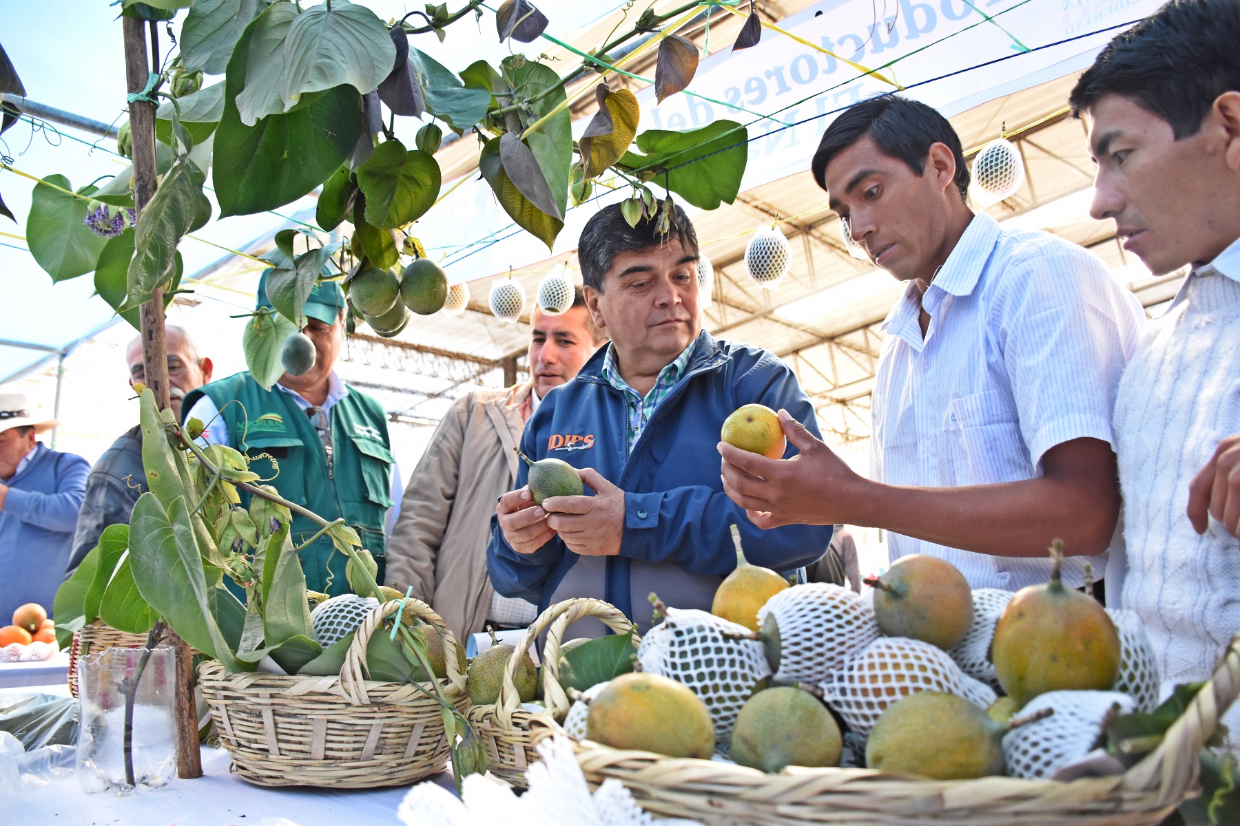 Impulsan la producción regional de granadilla  durante primer festival en Otuzco