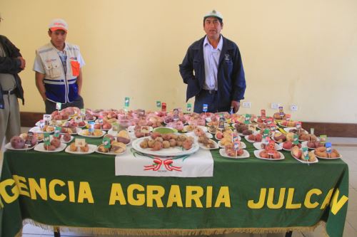 Anuncian implementación planta procesadora de papa en  región La Libertad