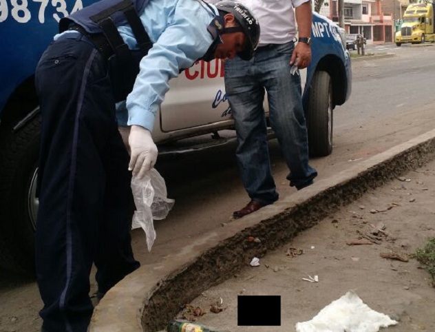 Desalmados arrojan feto en plena avenida Federico Villarreal