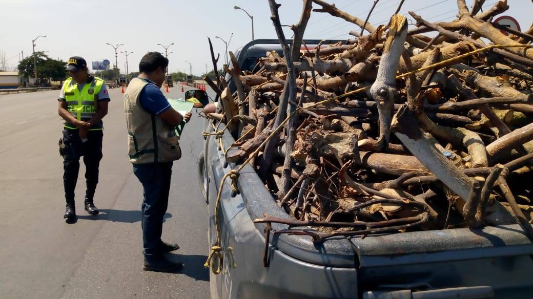 Fiscalizan vehículos de carga pesada que transportaban madera en Panamericana Norte