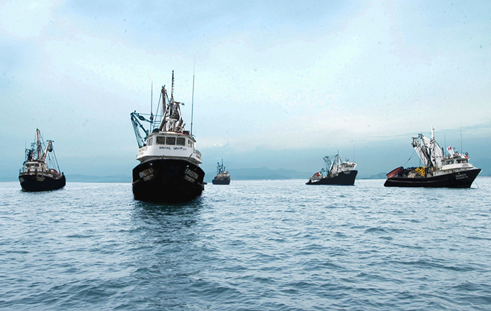 Segunda temporada de pesca generará US$ 800 millones en exportaciones, refiere la SNP