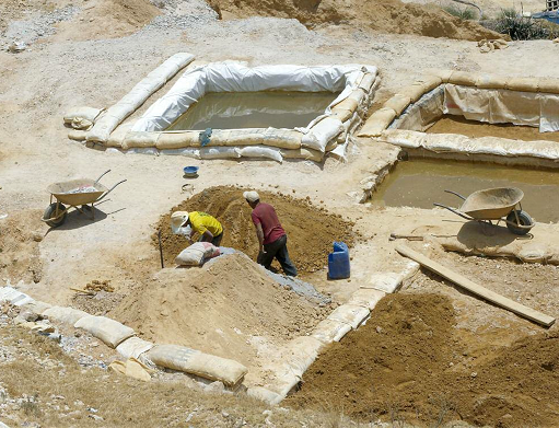 Consejo Regional  pide se incremente intervención contra mafias mineras en La Libertad