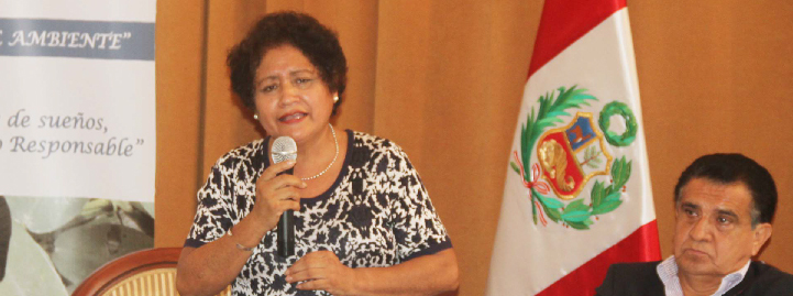 Nuevo parque industrial evitaría contaminación de curtiembres