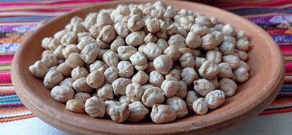 Promueven el consumo del garbanzo por ser fuente de energía y proteínas en la dieta escolar  