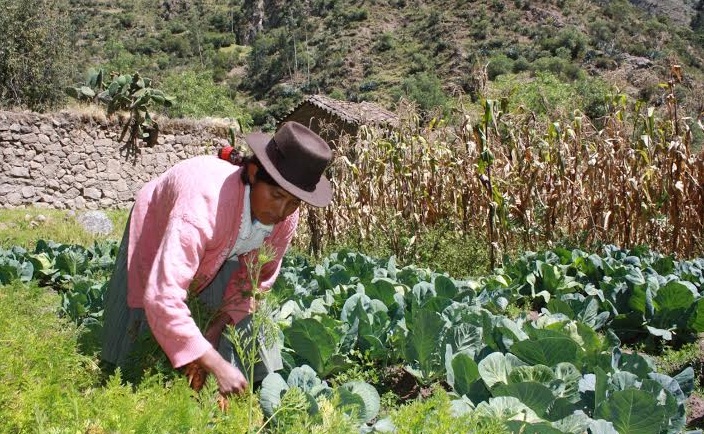 Foncodes financiará proyectos en poblados rurales de Trujillo y otras ciudades del país