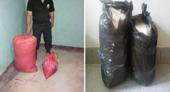 Policía decomisó 111 kilos de hoja de coca en Cascas