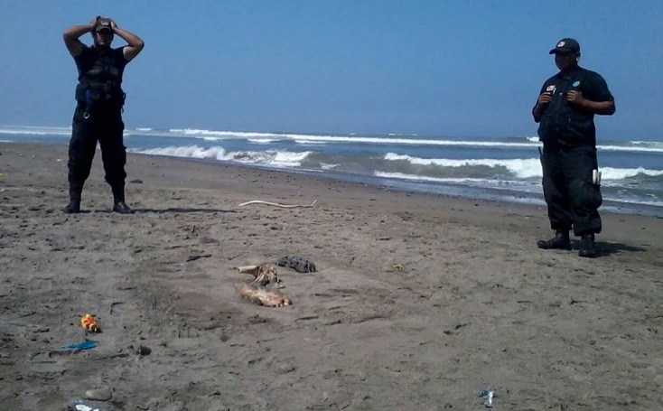 Turista halla pierna humana en la playa de Huanchaco