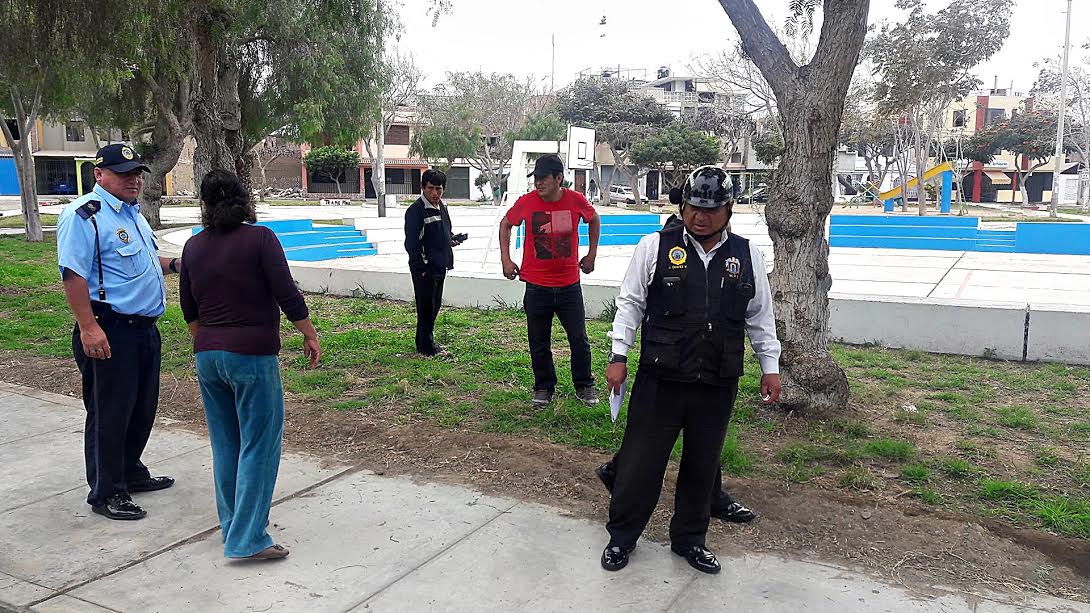 Hallan nuevamente plantas de marihuana que crecían en un parque de Covicorti