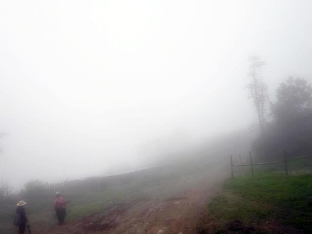 Heladas en la sierra liberteña podría provocar pérdida de las cosechas de papa y maíz