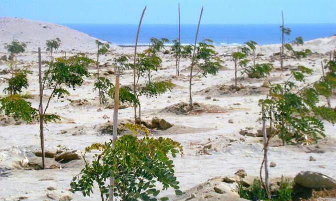 Unidad hidrográfica de La Libertad considerada en estado de emergencia de recursos hídricos