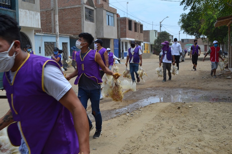 Iglesia lleva 24 mil pollos más a Moche, Huanchaco, Florencia de Mora y El Porvenir