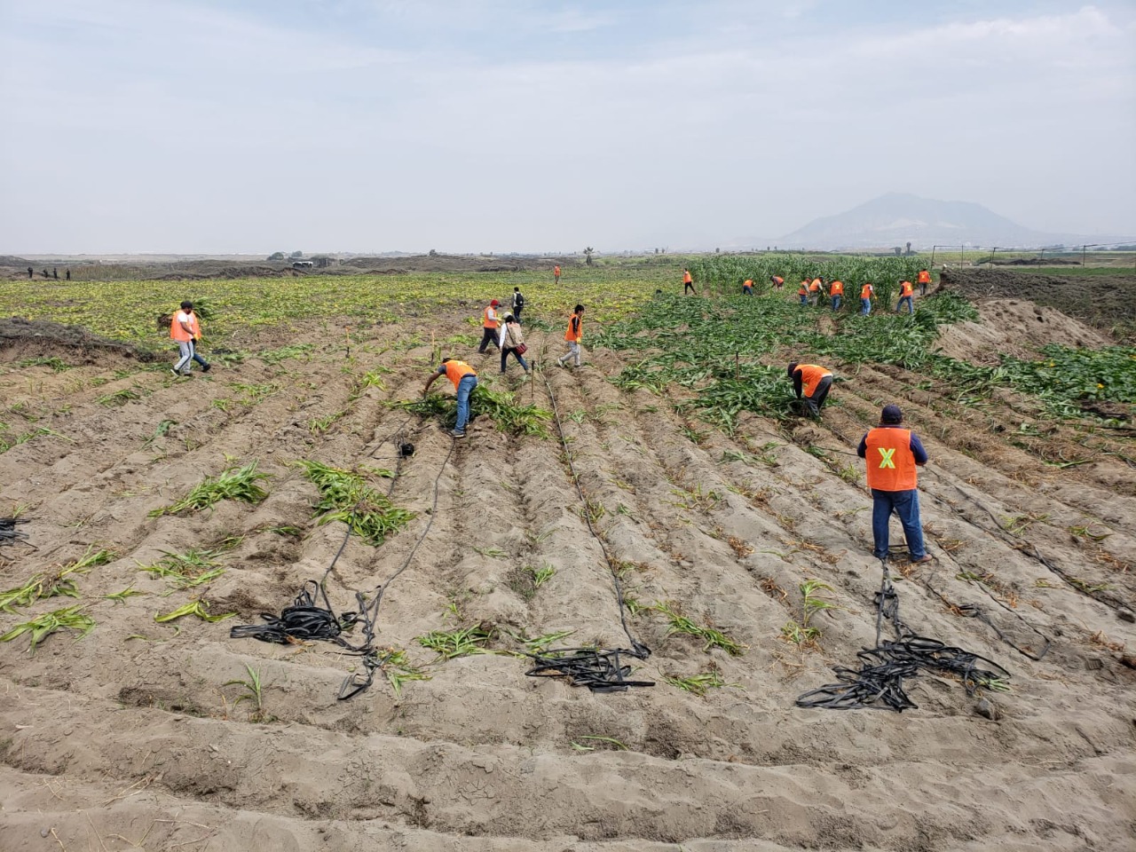 Sacan invasores que ocuparon área intangible de Chan-Chan