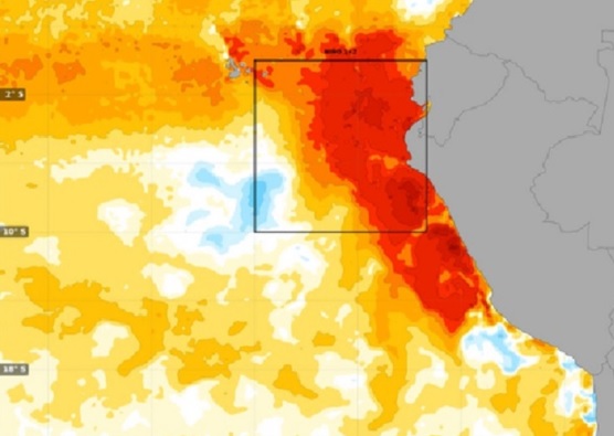 El Niño costero se presentará hasta octubre y causará mayor temperatura en la Costa