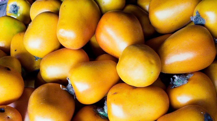 LDU se medirá contra el Sao Paulo, ecuatorianos destacan jerarquía de Paolo Guerrero