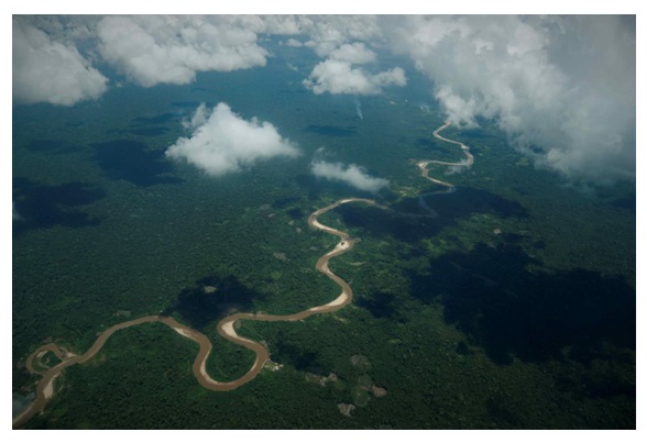 Alertan que Perú perdió más de 4 millones de hectáreas vegetales en 40 años
