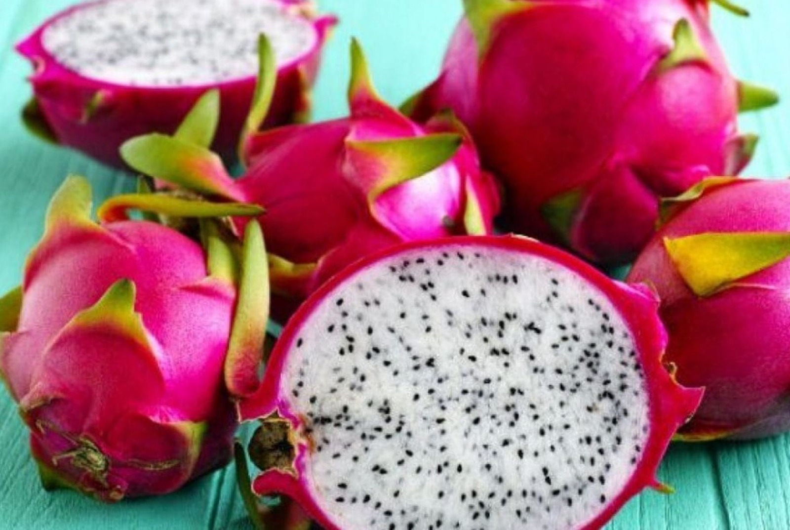 Exportaciones de pitahaya peruana crecieron 13 veces en el 2023