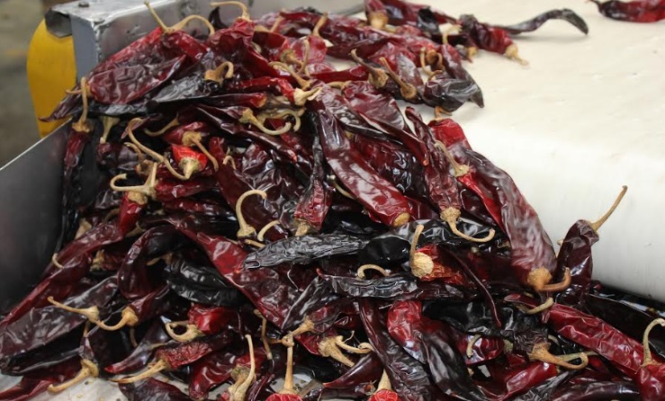 Ajíes y pimientos peruanos cautivan interés de compradores internacionales 