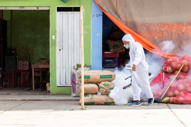  MPT y sector Salud promueven fumigación contra el dengue en el mercado La Hermelinda