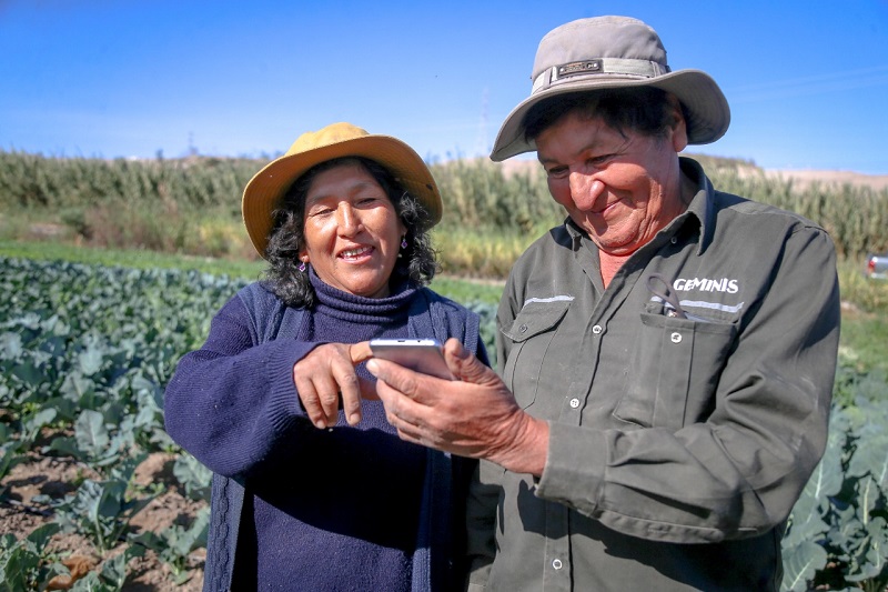 Nuevas condiciones para importar celulares y otros terminales móviles